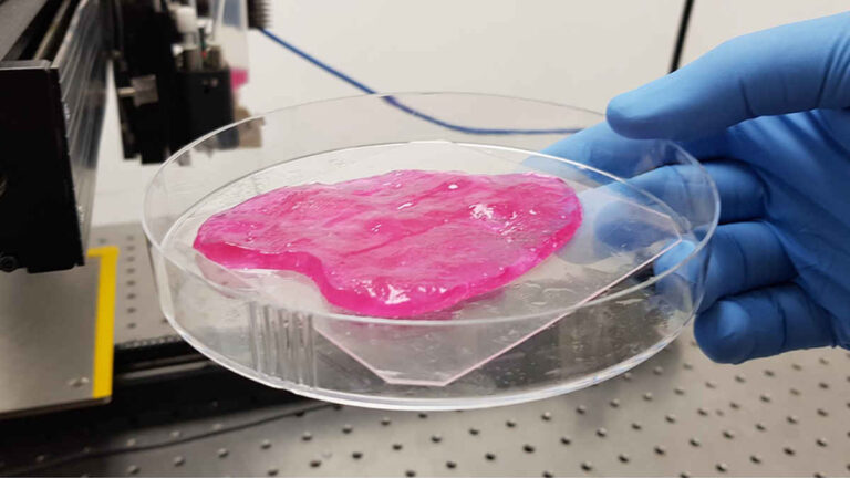MeaTech produces 3D printed meat from stem cells